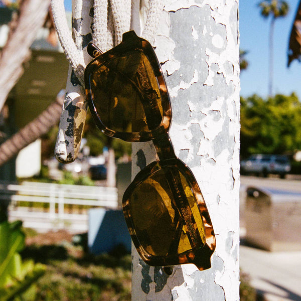 The Heavy Tropix / Desert Tortoise Bio & Polarised Grapeseed Lens - Shade Files